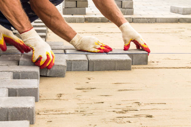 Best Local Driveway Pavers  in Anza, CA