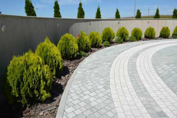 Reasons to Select Us for Your Driveway Paving Requirements in Anza, CA
